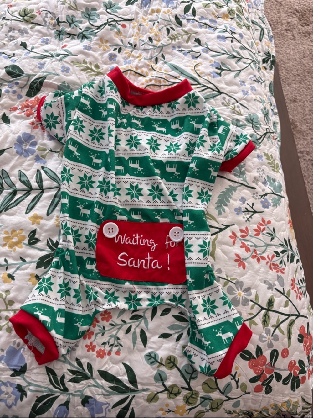 Hobby Lobby Green & Red "Waiting for Santa!" Christmas Dog Pajamas